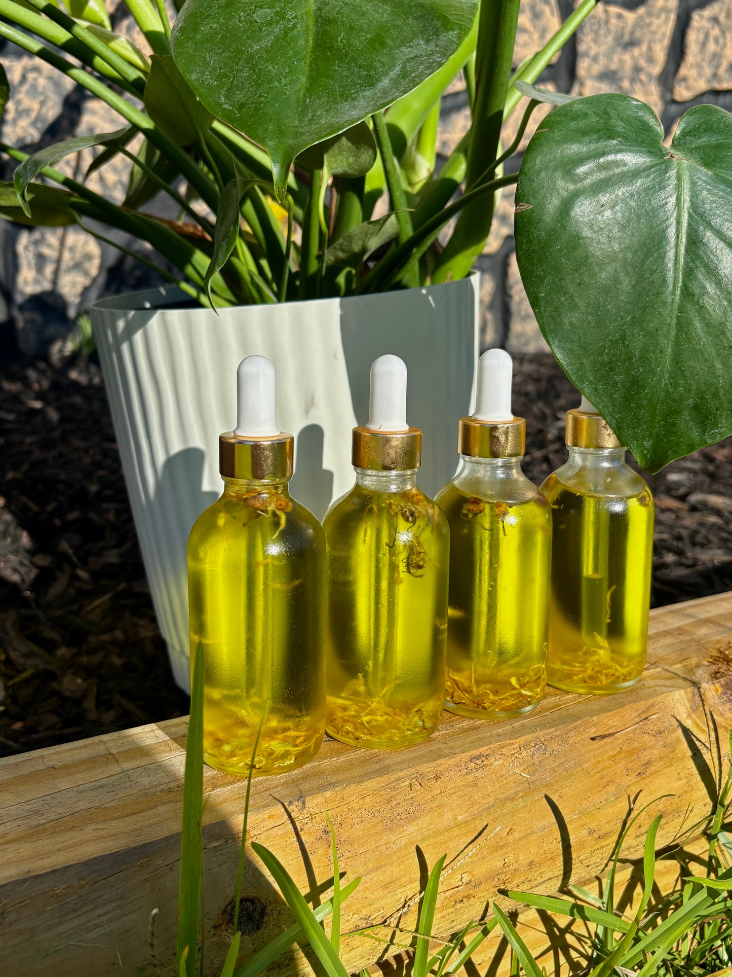 DNA Luxe Glow Body Oil