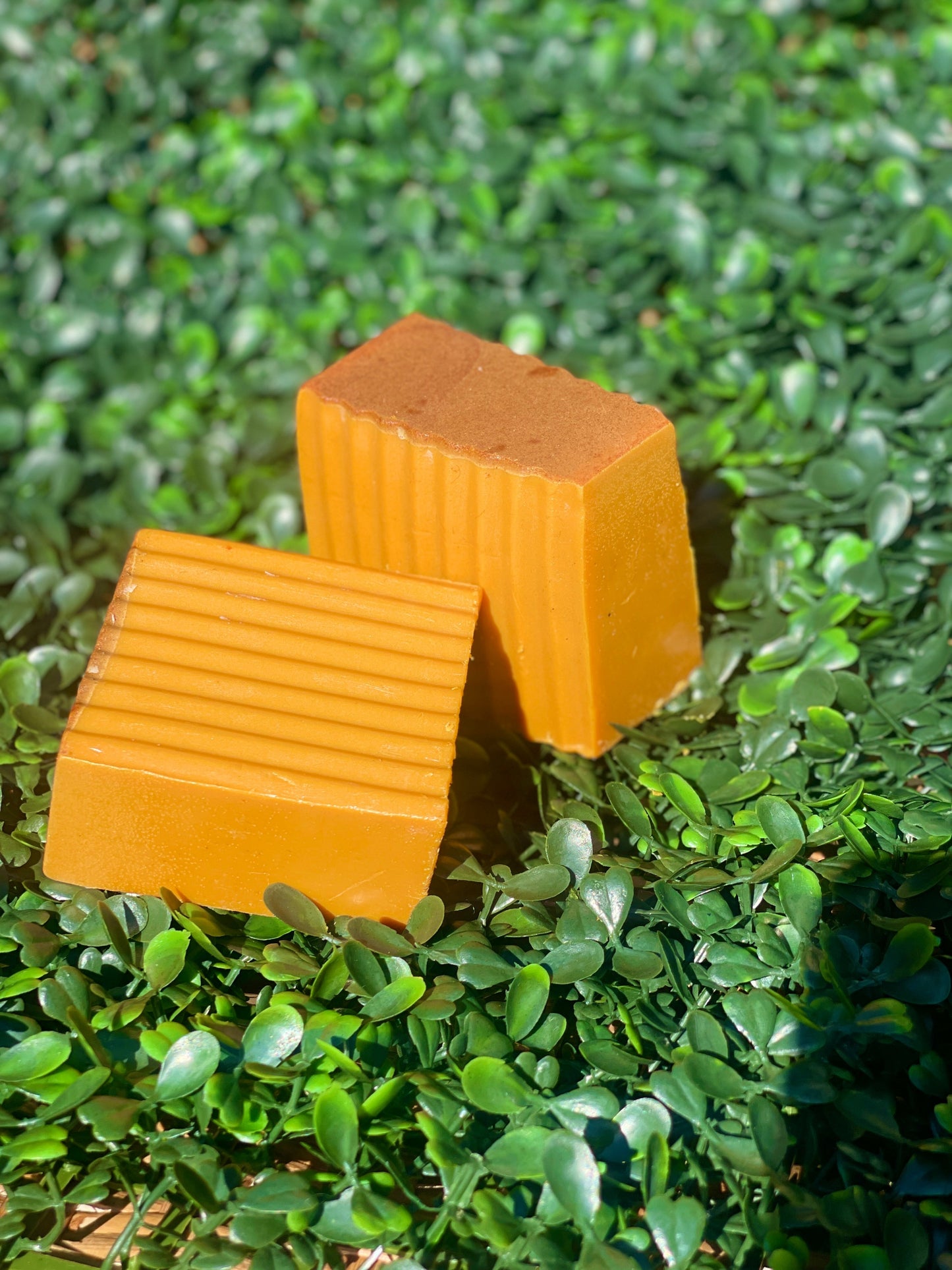 Flourishing Soap Bar